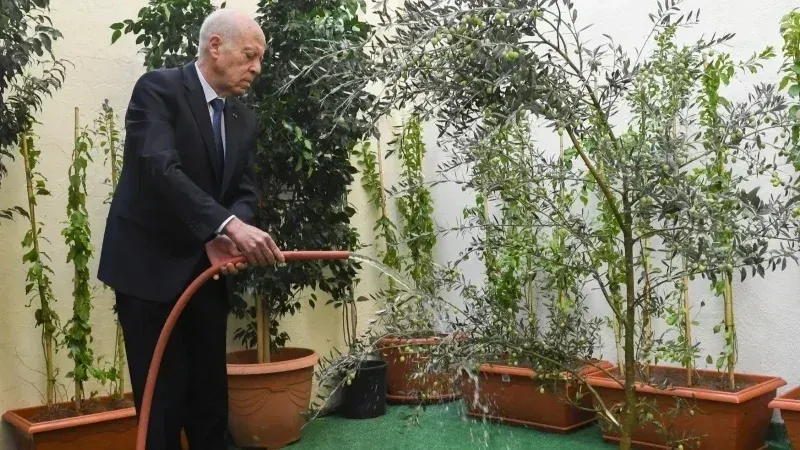 Saïed célèbre la Fête de l’arbre au Conseil supérieur de l’éducation